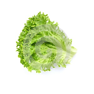 Salad leaf. Lettuce isolated on white background