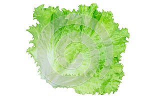 Salad leaf. Lettuce isolated on white background with clipping path