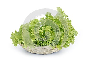 Salad leaves