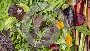 Salad leaves with edible flowers