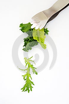 Salad leaves falling from silver tongs photo