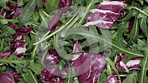 Salad leaves mix green, juicy snack, as background