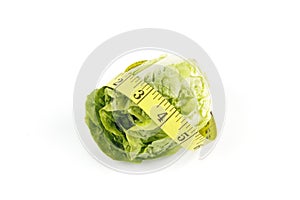 Salad Lettace and Tape Measure