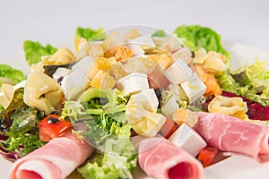 Salad with lettuce, red pepper, tortellini, fresh cheese, tomato, endive , ham and croutons