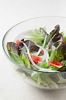 Salad with lettuce, tomato and onion