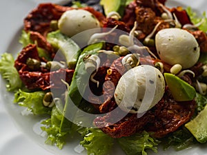 Salad made from dried tomatoes, pe-tsai, avocado, and mozzarella cheese. close-up