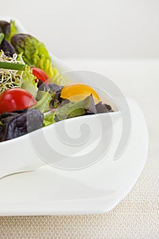 Salad meal in a white bowl