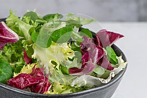 Salad mix leaves background. Fresh salad pattern with rucola, purple lettuce, spinach, frisee and chard leaf