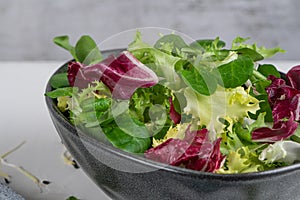 Salad mix leaves background. Fresh salad pattern with rucola, purple lettuce, spinach, frisee and chard leaf