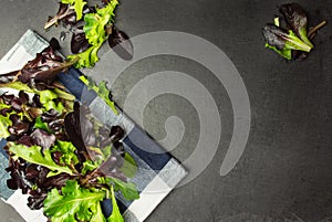 Salad mix, various lettuce leaves on cloth and textured background, room for text, salad mix, baby leaves