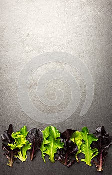 Salad mix, various lettuce leaves on textured background, room f