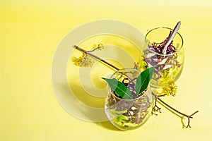 Salad from mixed cabbage served in glasses. Fresh vegan vitamin food. Spices, olive oil, dry berries