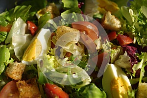 Salad in the morning. Salad with egg, lettuce, tomato, croutons, pepper. Diet, proper nutrition,