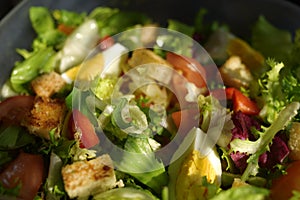 Salad in the morning. Salad with egg, lettuce, tomato, croutons, pepper. Diet, proper nutrition