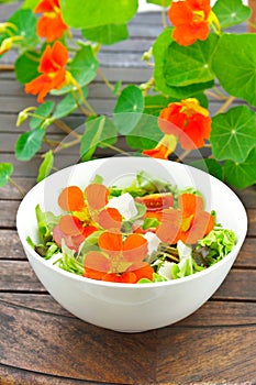 Salad nasturtium flowers dark table