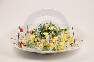 Salad Olivier. Traditional food in Russia