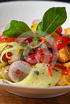 Salad Pannmole with fresh vegetables and croutons