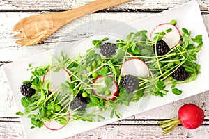 Salad with pea shoots, radishes, blackberries on a rectangular plate