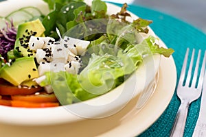 Salad plate with colorful vegetables