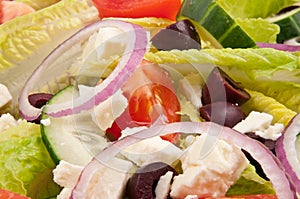Salad plate for healthy lifestyle