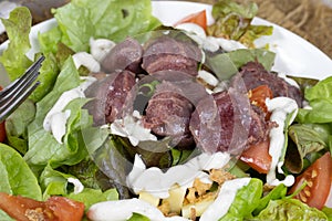 Salad with poultry gizzards