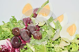 Salad of radicchio lettuce eggs and olives