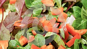 Salad with radish and paprika