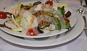 Salad of roasted beef, Beijing cabbage, fried mushrooms, onion dressed with sauce and tomato decorated with slices on a white tabl