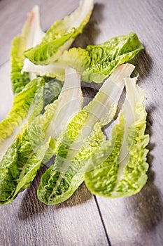 Salad romen photo