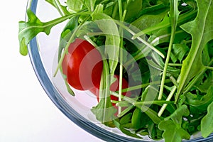 Salad with rugola and cherry tomato