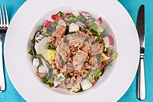 Salad from sea tuna fish with greens, cucumber, lemon and chili pepper, radish. Japanese food