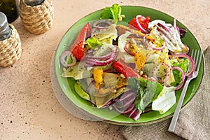 Salad of seasonal fresh vegetables, with lettuce, red onion, grilled paprika, dried herbs, spices, in a green plate