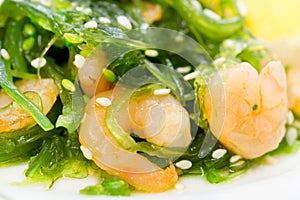 Salad of seaweed chuka with prawns under soy sauce and sesame