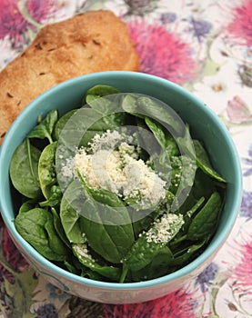 Salad of spinach