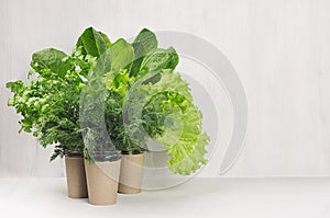 Salad, spinach, dill, parsley in craft pots on white wood shelf, copy space. Healthy food.