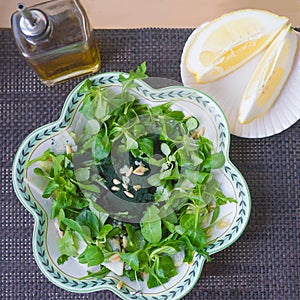 Salad with spirulina. Healthy food concept photo
