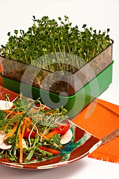 Salad with sprouts