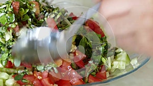 Salad with tomato and purslane salad, salad with tomatoes in plate mixing tomato and purslane salad in salad plate,