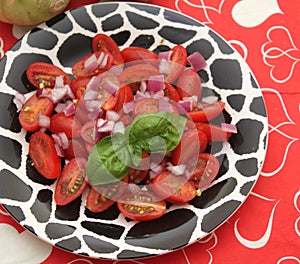 Salad of tomatoes and onions