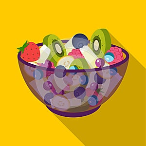 Salad from various kinds of fruit. Fruit single icon in flat style vector symbol stock illustration web.