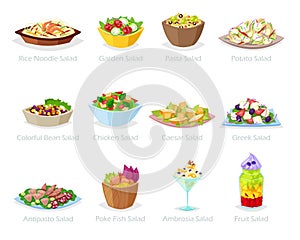 Salad vector healthy food with fresh vegetables tomato or potato in salad-bowl or salad-dish for dinner or lunch