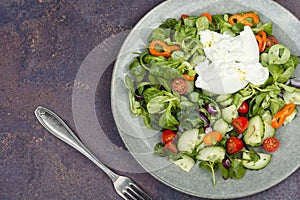 Salad of vegetables, lettuce and milk Burrata cheese