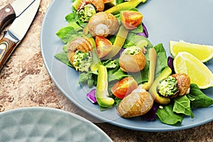 Salad with vegetables and snails