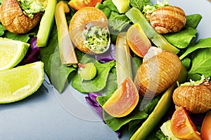 Salad with vegetables and snails