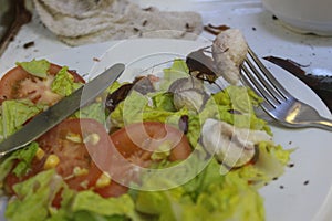 Salad and vegetables. Summer 2018.