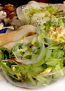 Salads on buffet table