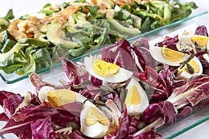 Salads, salmon, organic vegetables, Hard-boiled eggs