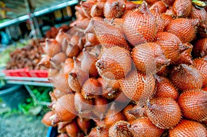 Salak fruit