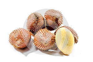 Salak fruiton white background