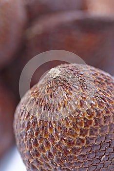 Salak Fruits Series 02 photo